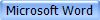 Microsoft Word