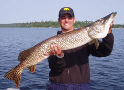Northern Pike Fishing 