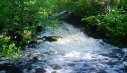 Ontario Canada Fishing Trips