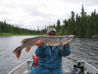 42 Inch Northern Pike