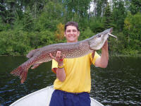 48.5 inch northern pike