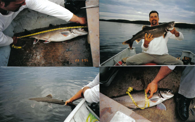 Lake Trout Measuring