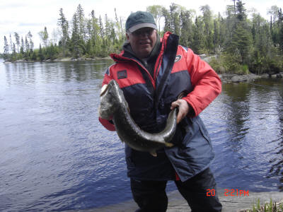 May Lake Trout Fishing - 33 inch Lake Trout.