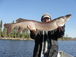 Trophy Northern Pike Fishing
