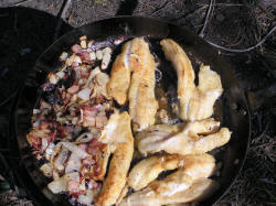 Walleye Lunch