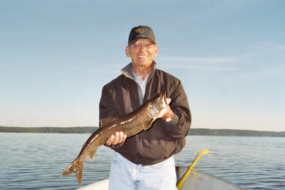 Lake Trout