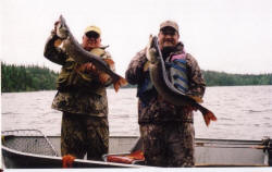 Double Pike Trophies