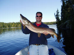 Nothern Pike Fishing Trips in Northern Ontario