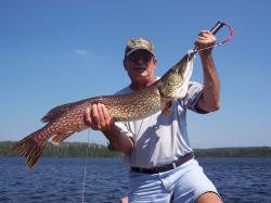 Trophy Northern Pike
